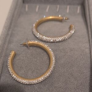 Elegant Gold and Silver Hoop Earrings